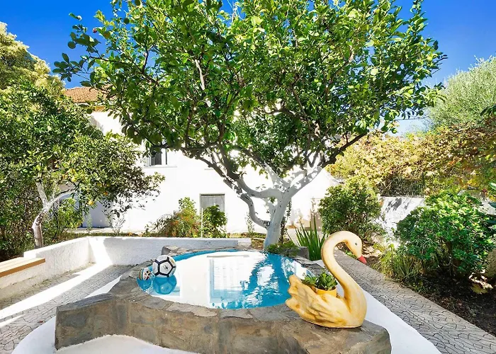 Niki House 干尼亞